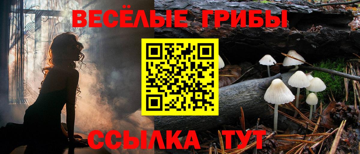 Галлюциногенные грибы прущие грибы Донецк